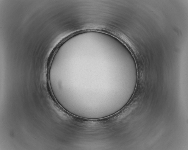 X0000111901124200908101135