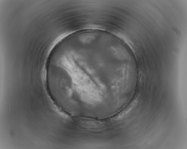 X0000111901125200908101135