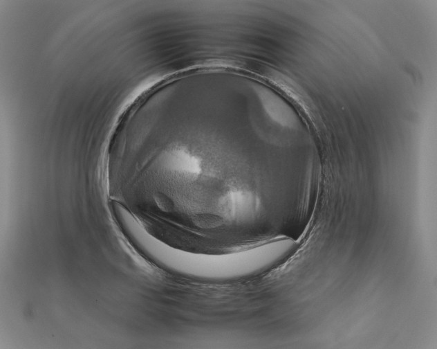 X0000111901127200908101135