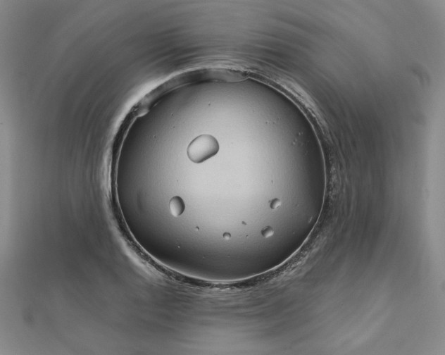 X0000111901128200908101135