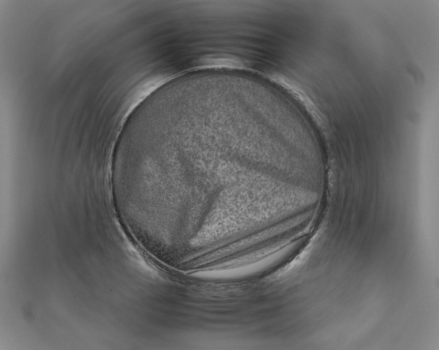 X0000111901129200908101135