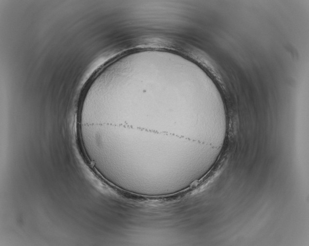 X0000111901130200908101135