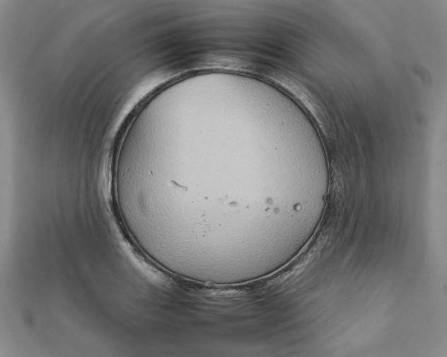 X0000111901131200908101135