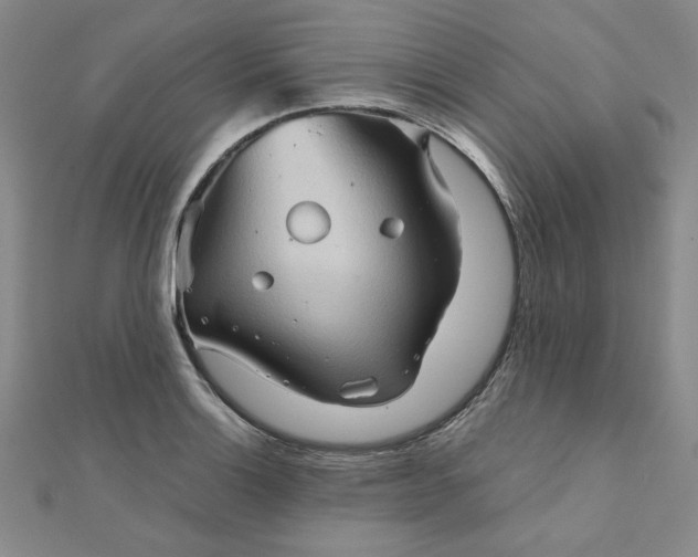 X0000111901132200908101135