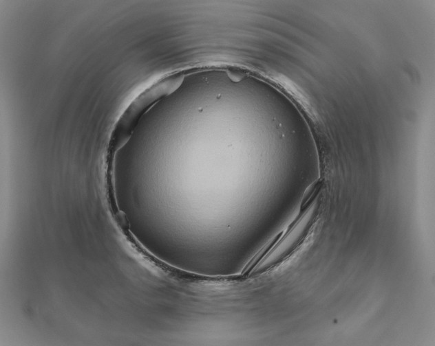 X0000111901134200908101135