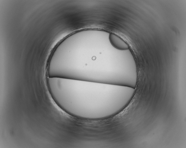 X0000111901135200908101135