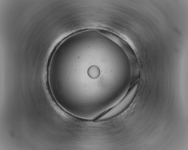 X0000111901136200908101135