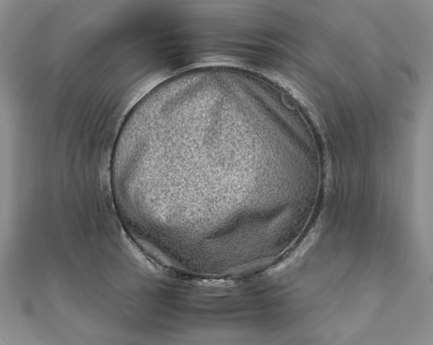 X0000111901137200908101135