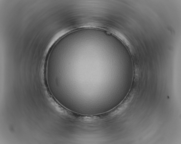 X0000111901138200908101135