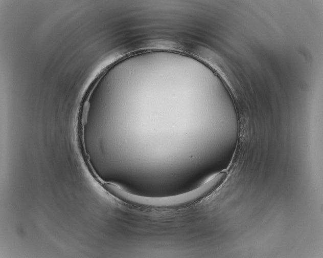 X0000111901139200908101135