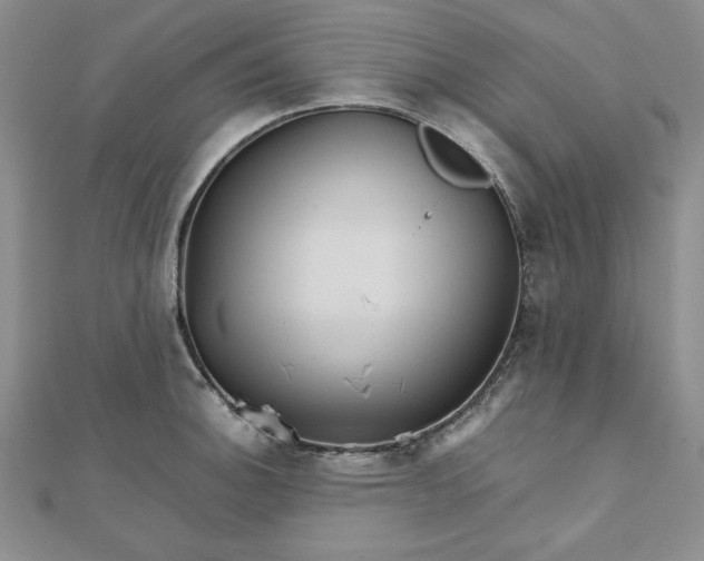 X0000111901140200908101135