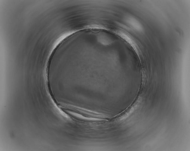 X0000111901141200908101135