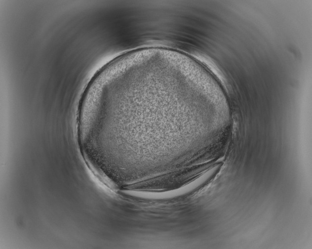 X0000111901143200908101135