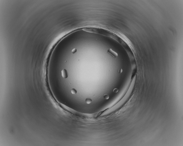 X0000111901144200908101135