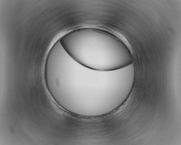 X0000111901146200908101135