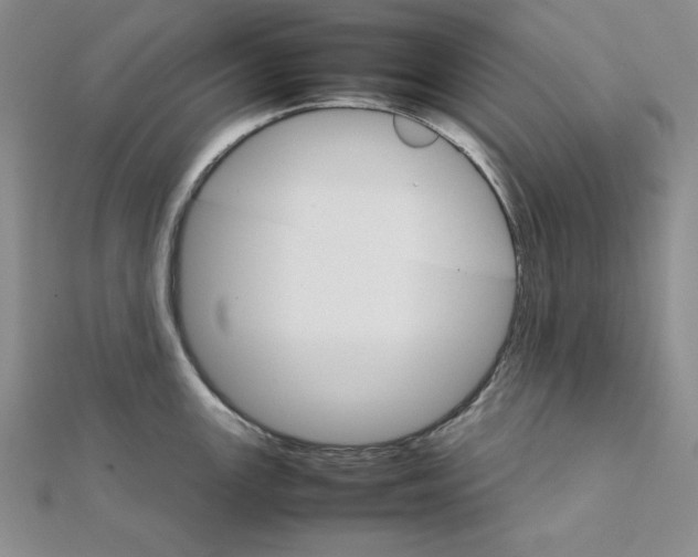 X0000111901147200908101135