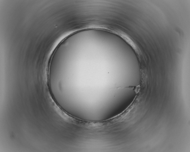 X0000111901148200908101135