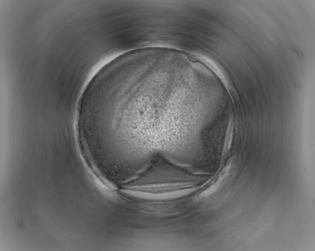 X0000111901149200908101135