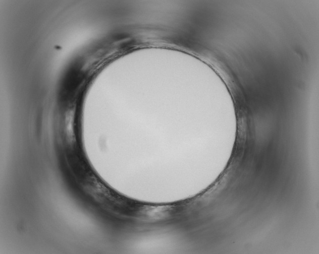 X0000111901150200908101135