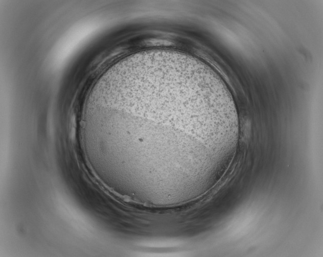 X0000111901151200908101135