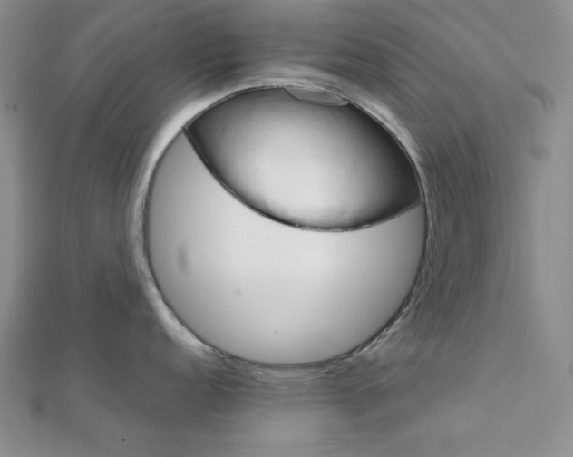 X0000111901152200908101135