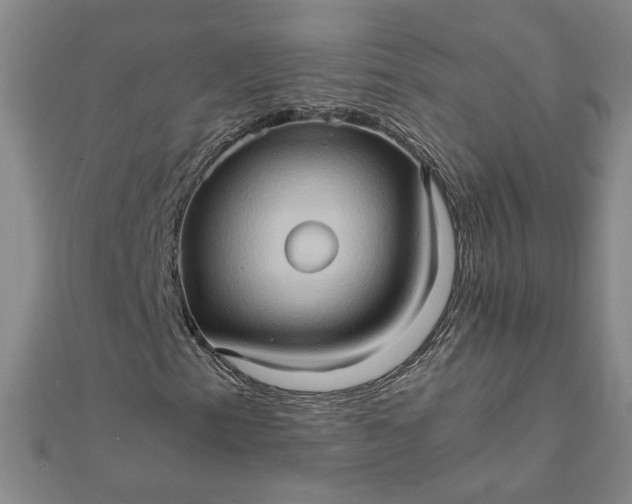 X0000111901153200908101134