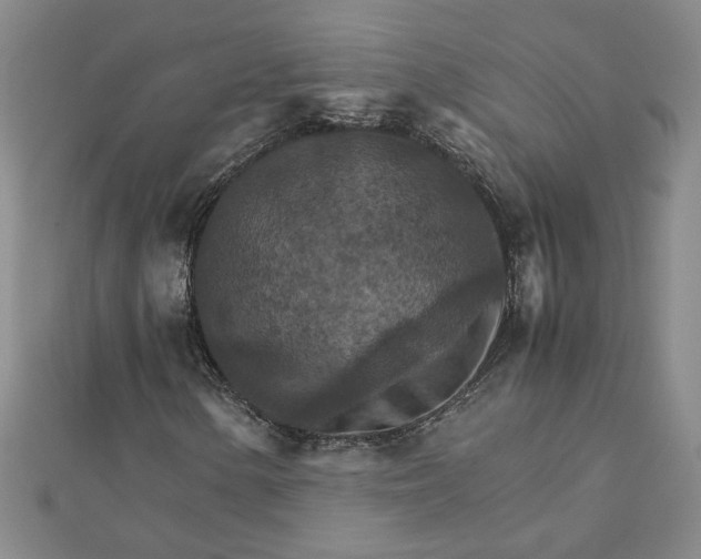 X0000111901154200908101134