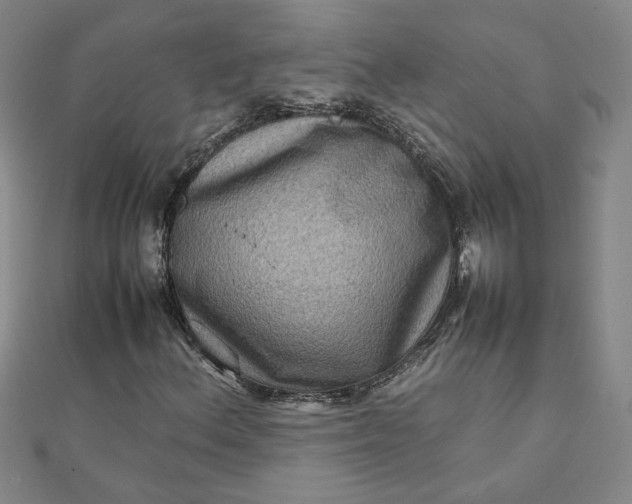 X0000111901156200908101134