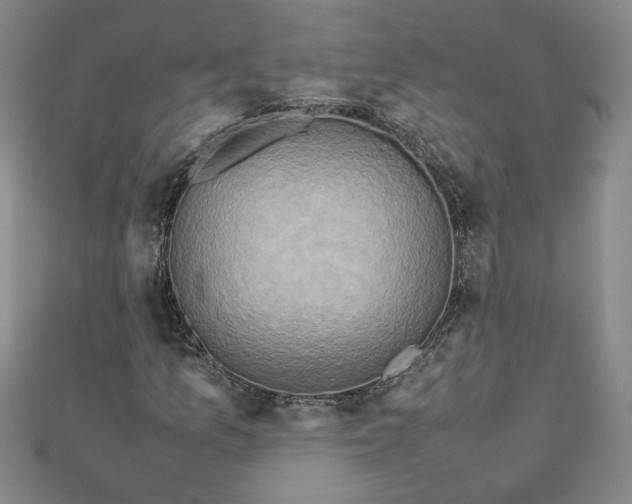 X0000111901157200908101134