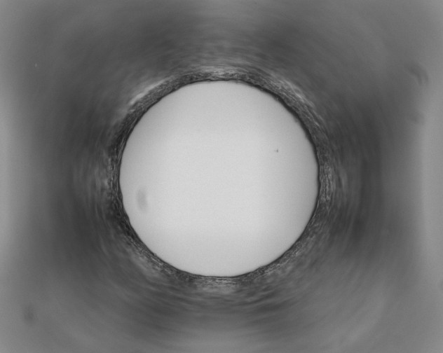 X0000111901158200908101134