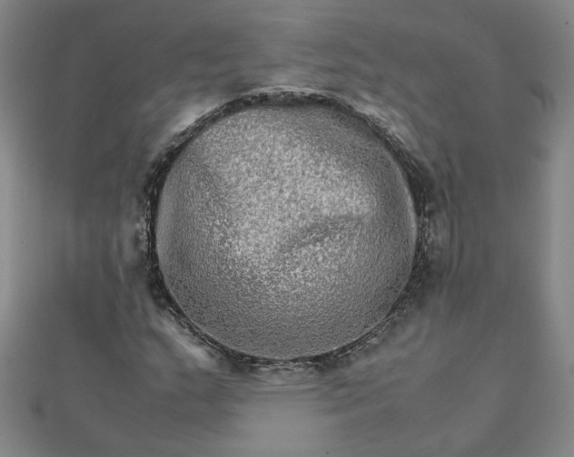 X0000111901159200908101134