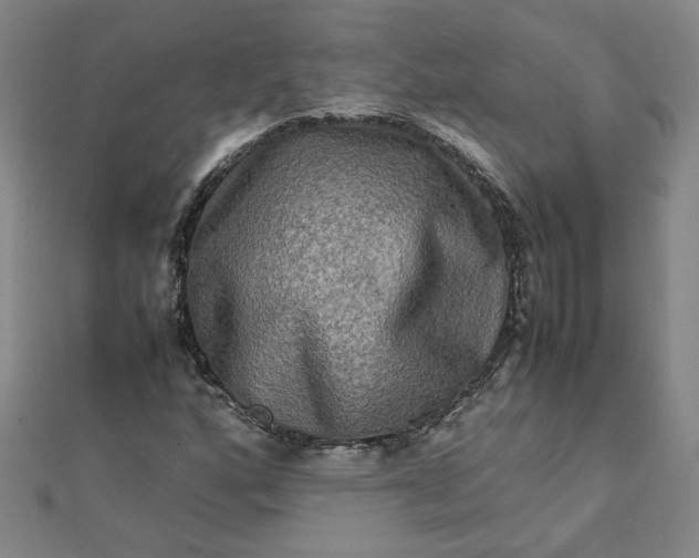 X0000111901160200908101134