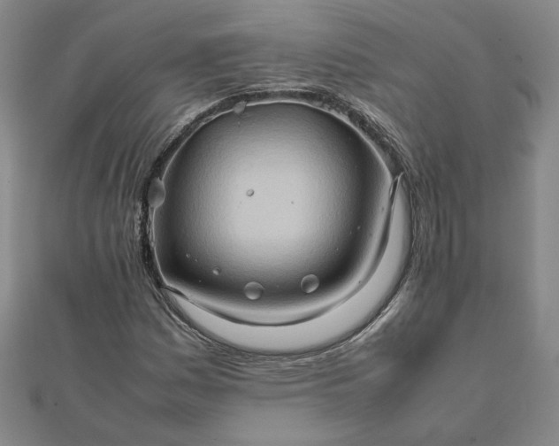 X0000111901161200908101134