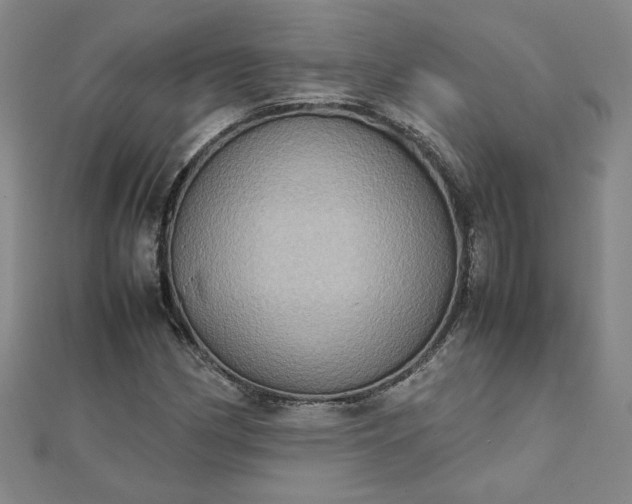 X0000111901162200908101134