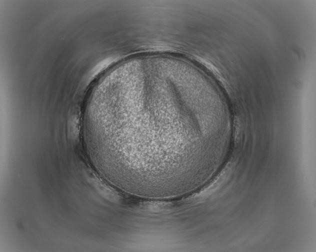 X0000111901163200908101134