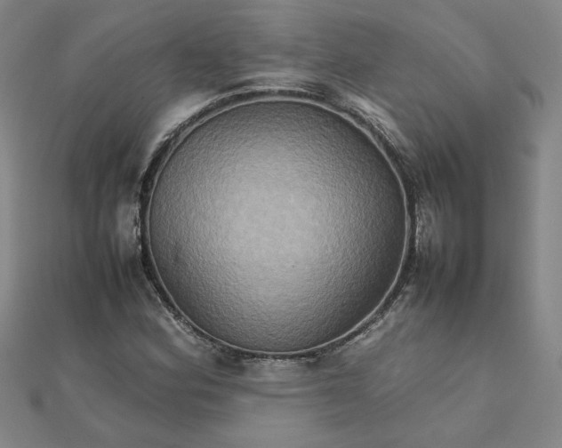 X0000111901164200908101134