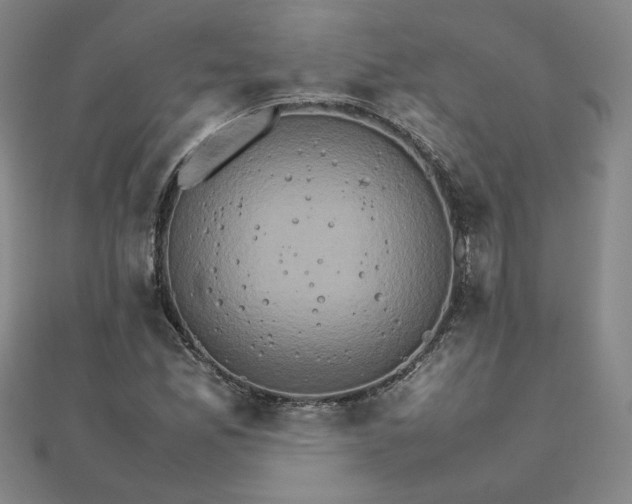 X0000111901165200908101134