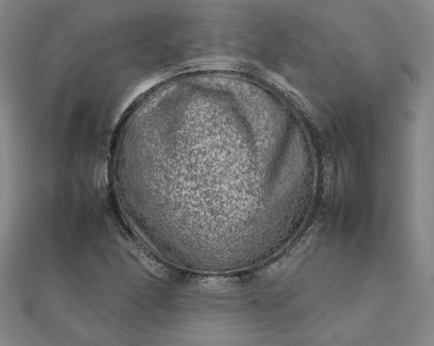 X0000111901166200908101134