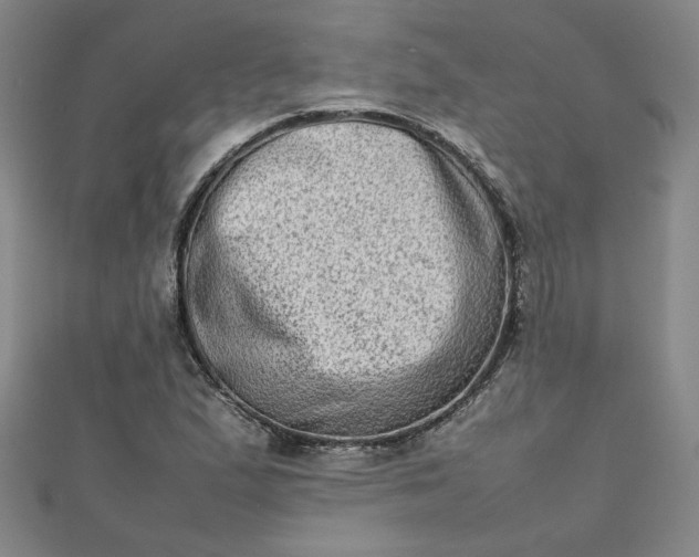 X0000111901167200908101134