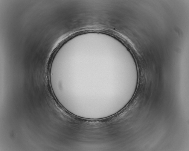 X0000111901168200908101134