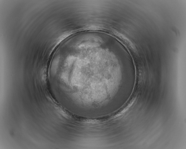 X0000111901170200908101134