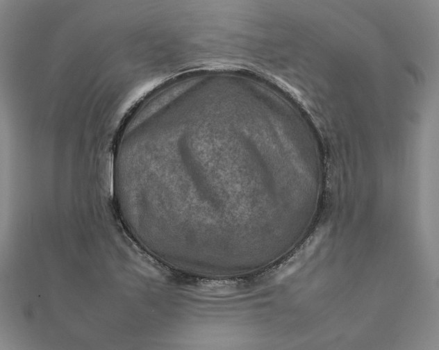 X0000111901171200908101134