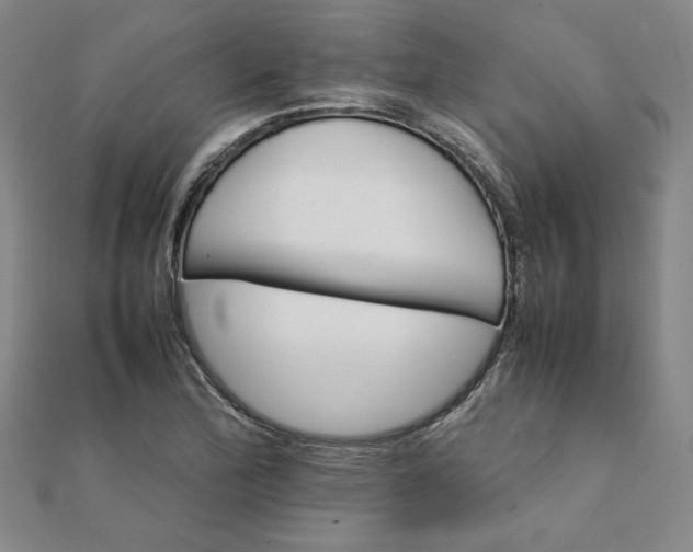 X0000111901172200908101134