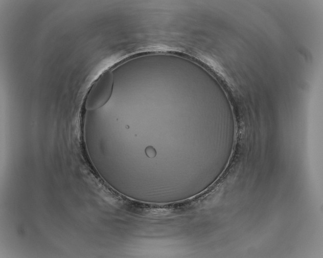 X0000111901173200908101134