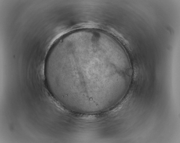 X0000111901174200908101134