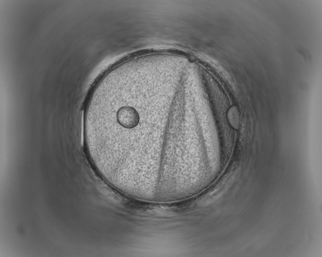 X0000111901175200908101134