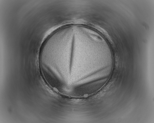 X0000111901176200908101134