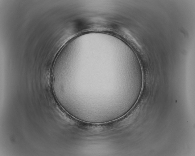 X0000111901177200908101134