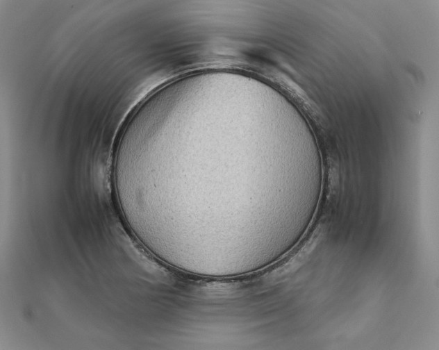 X0000111901178200908101134