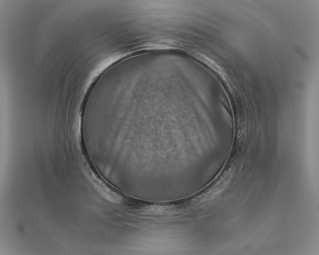 X0000111901179200908101134